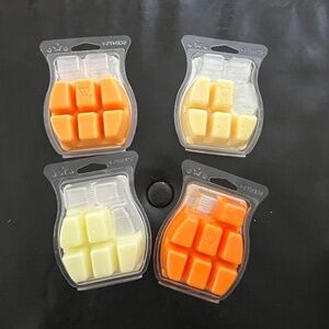 YELLOWS & ORANGES Scentsy Wax Bars - USED